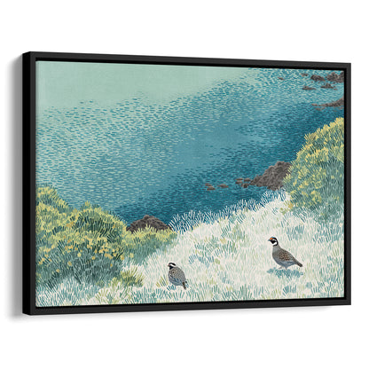 California Quail Illustration Art Print