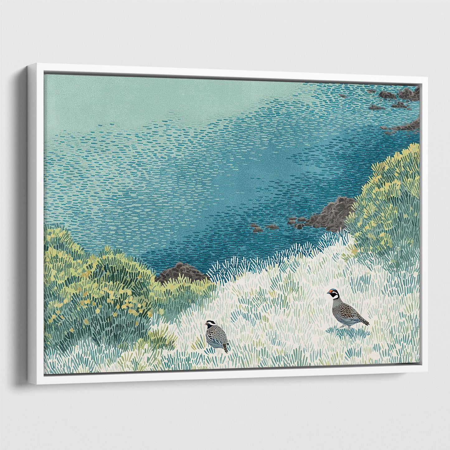 California Quail Illustration Art Print