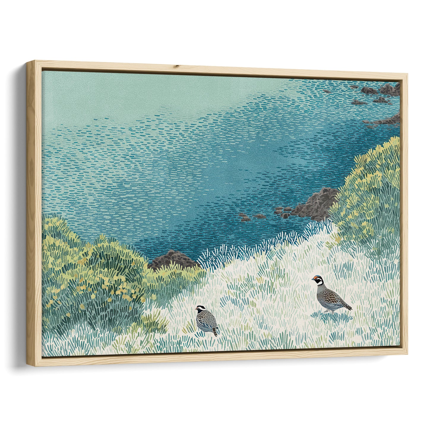 California Quail Illustration Art Print