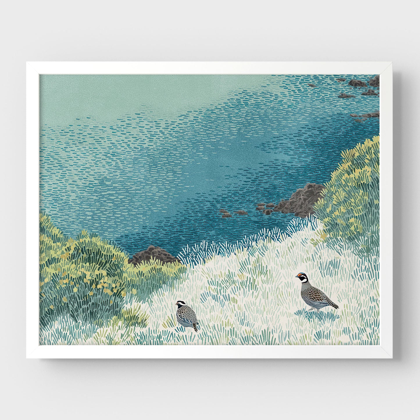 California Quail Illustration Art Print