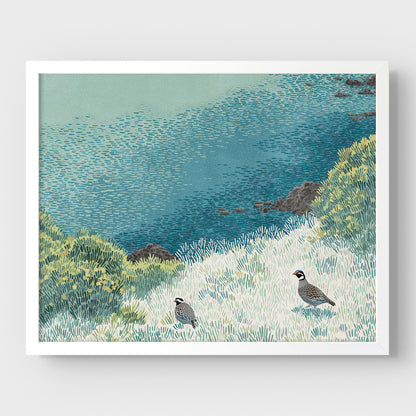 California Quail Illustration Art Print