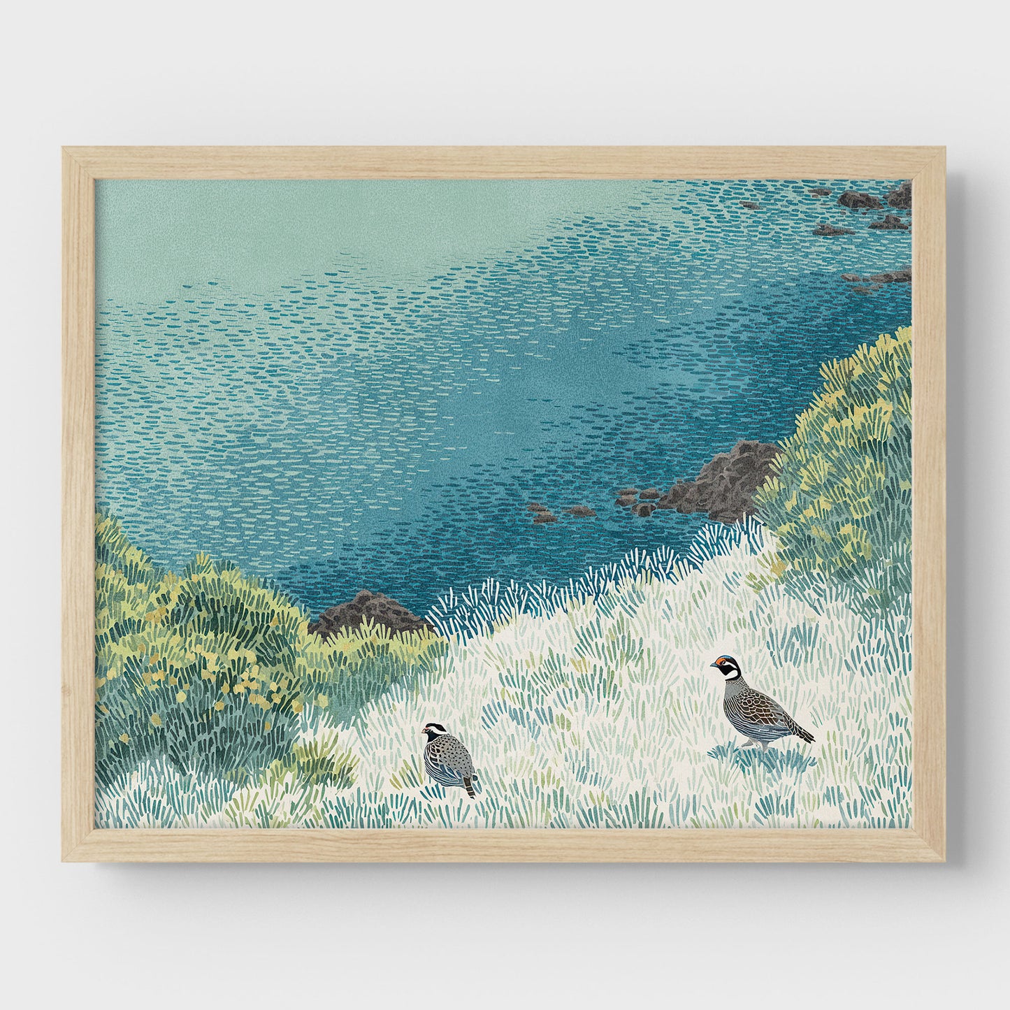 California Quail Illustration Art Print