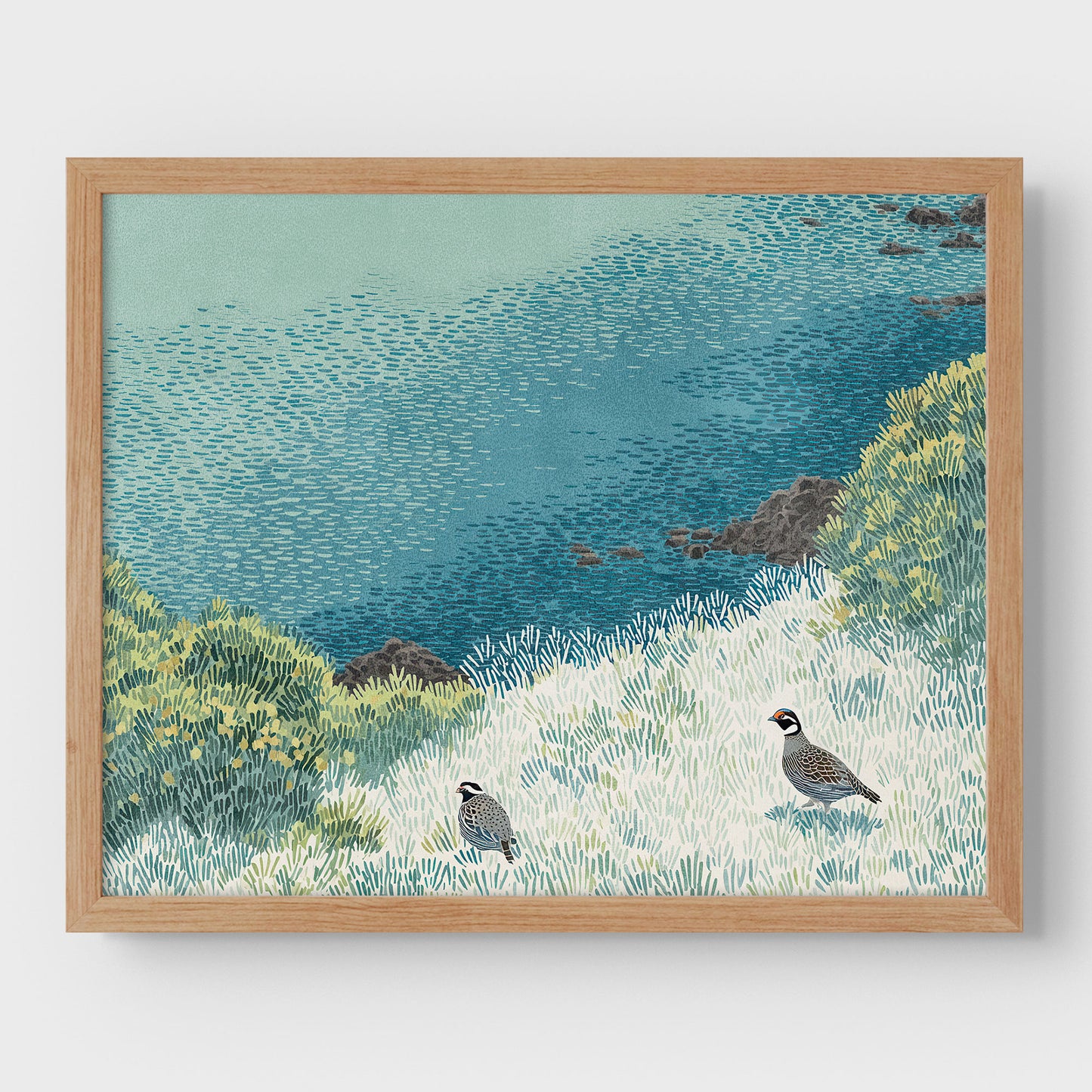 California Quail Illustration Art Print