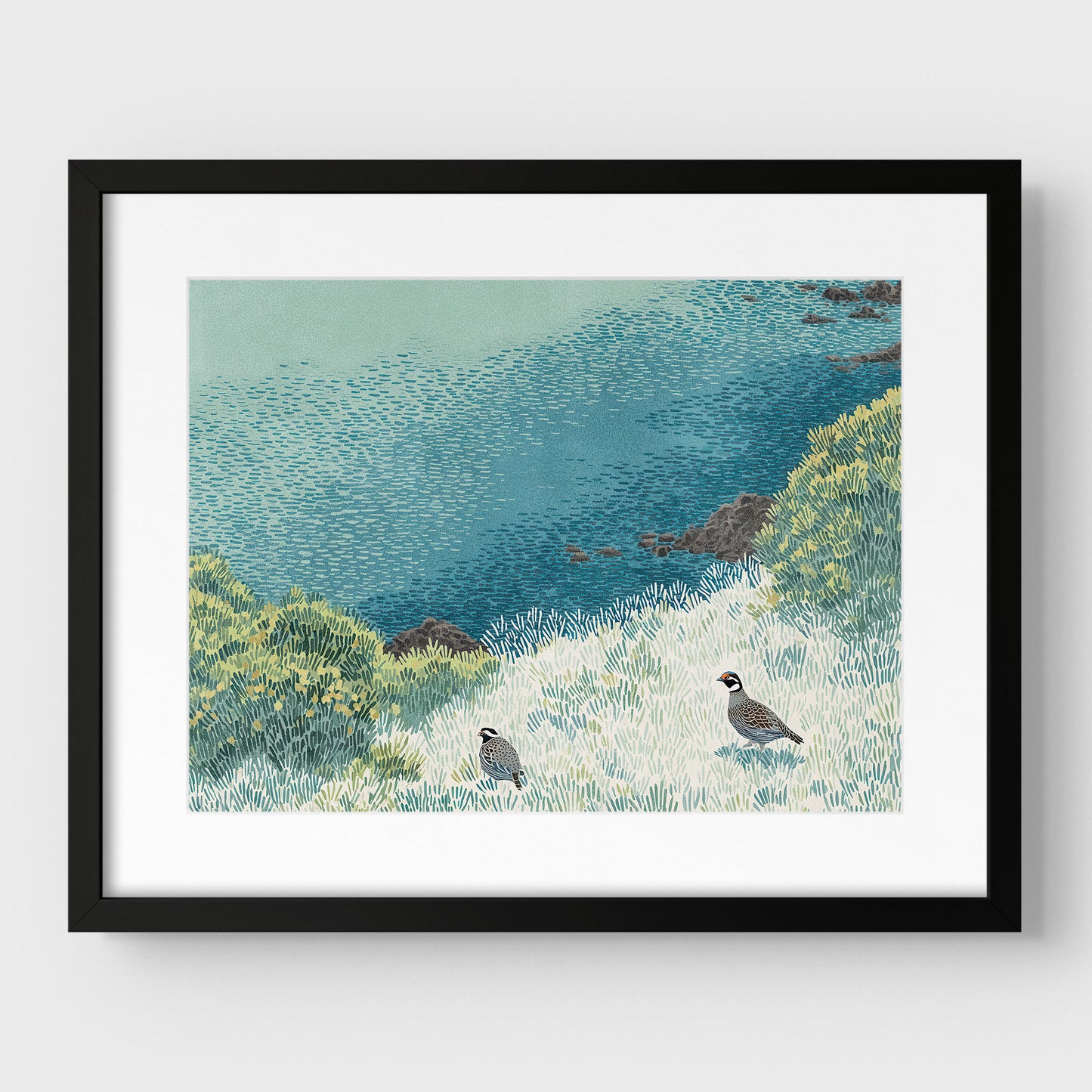 California Quail Illustration Art Print