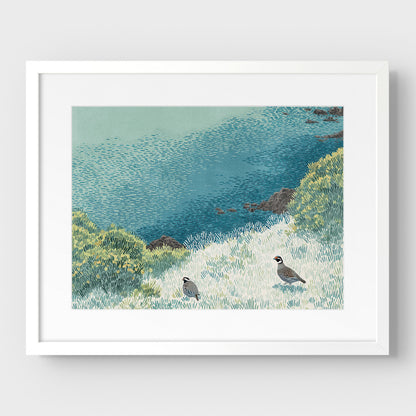 California Quail Illustration Art Print