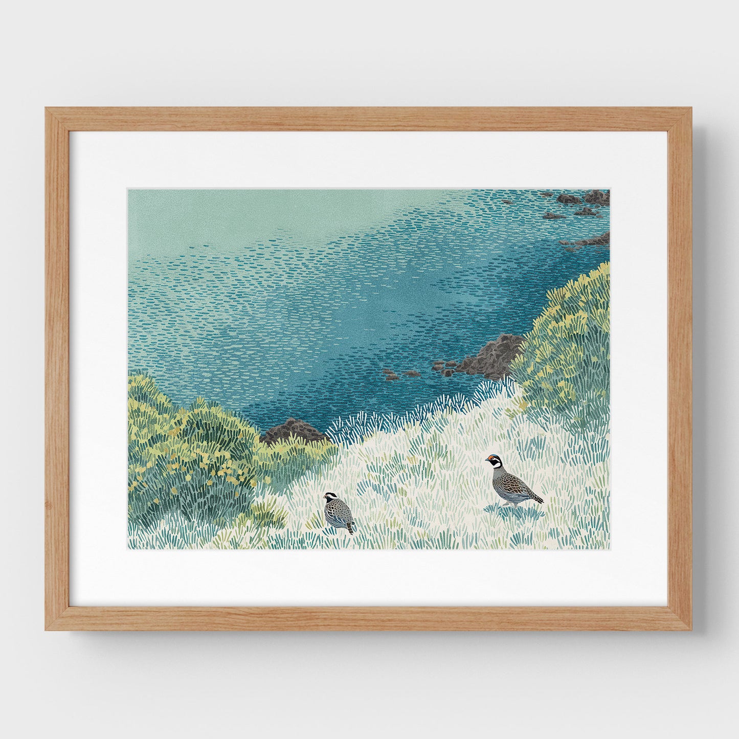 California Quail Illustration Art Print