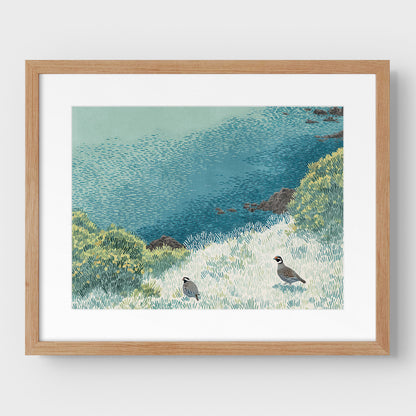 California Quail Illustration Art Print