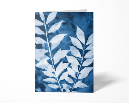 Leafy Branch Cyanotype Note Cards