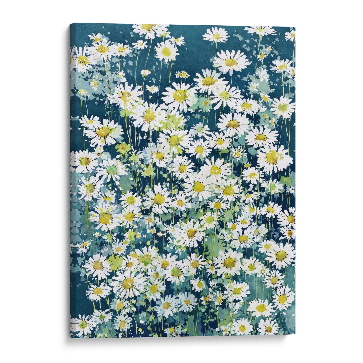 Wild Chamomile Daisies Watercolor Art Print