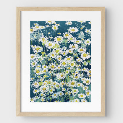 Wild Chamomile Daisies Watercolor Art Print
