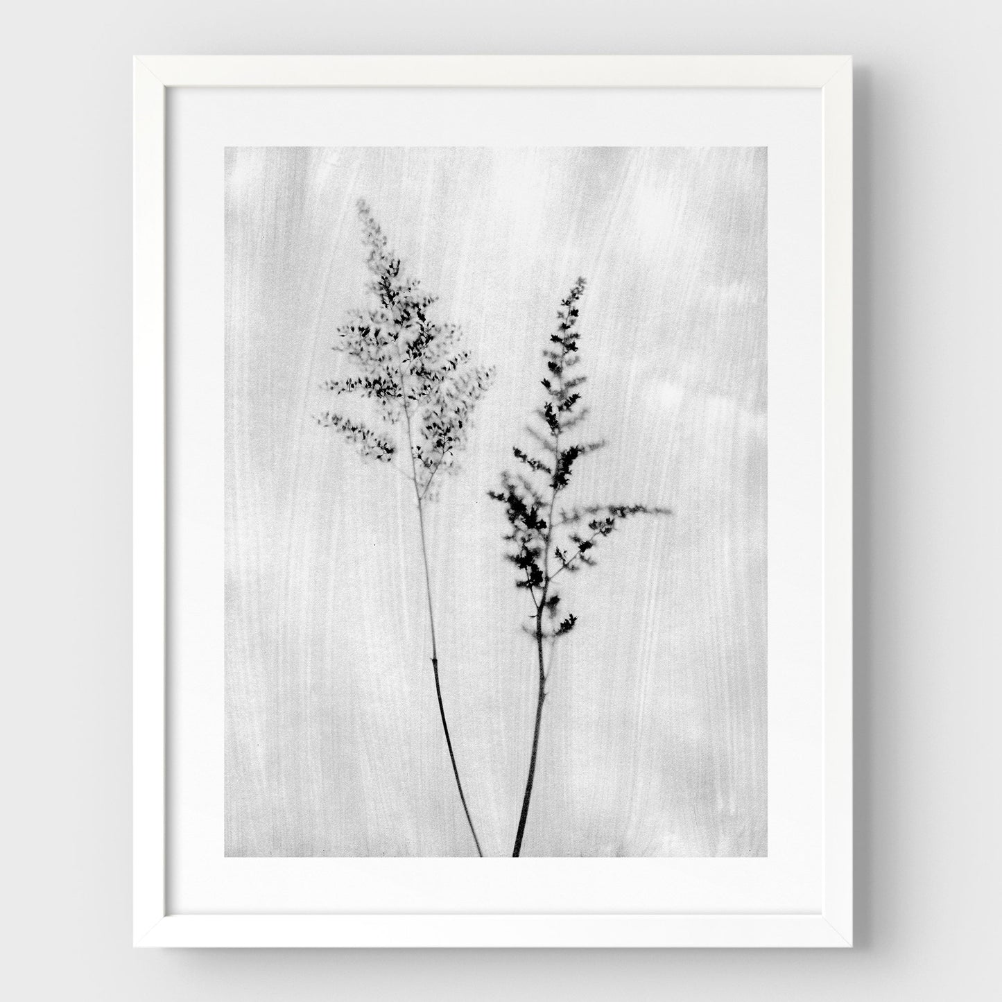 Black and White Wildflower Print