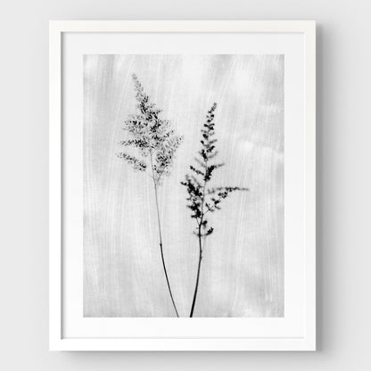 Black and White Wildflower Print