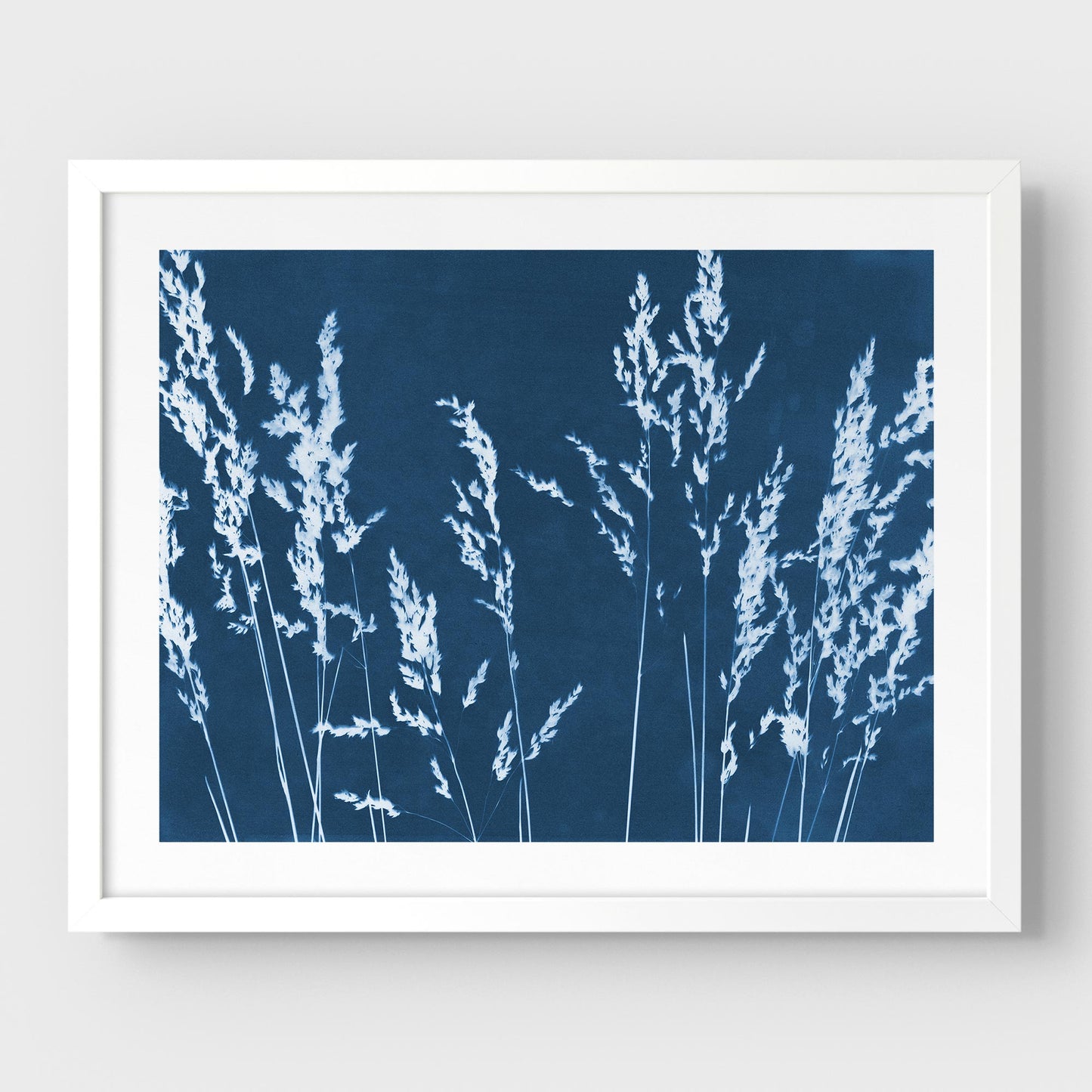 Framed cyanotype print featuring white wild grass silhouettes against a deep blue background, presented with a white frame and white border.