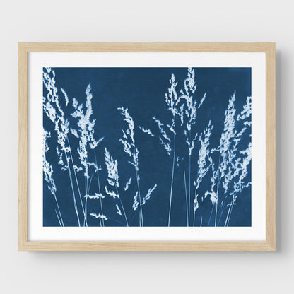 Framed cyanotype print featuring white wild grass silhouettes against a deep blue background, presented with a natural wood frame and white border.