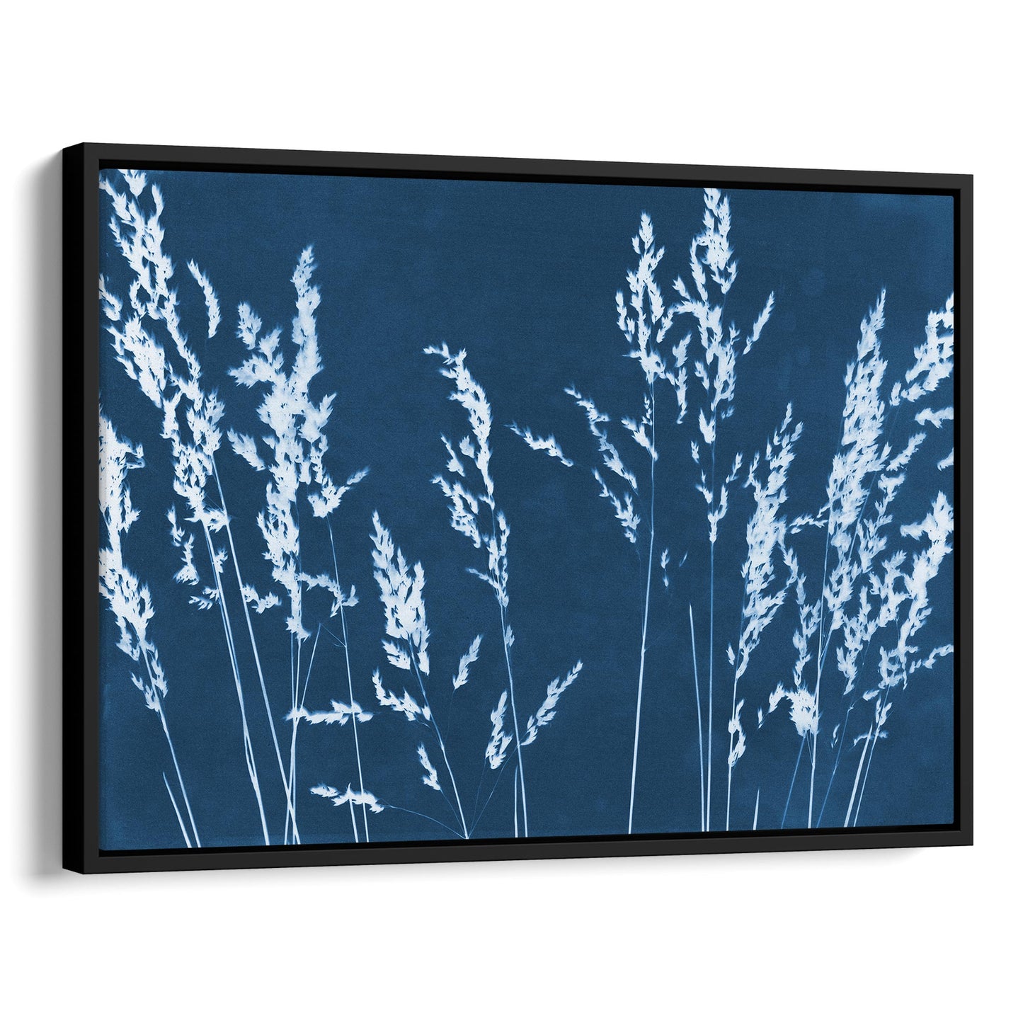 Framed cyanotype print featuring white wild grass silhouettes against a deep blue background, enclosed in a sleek black frame.