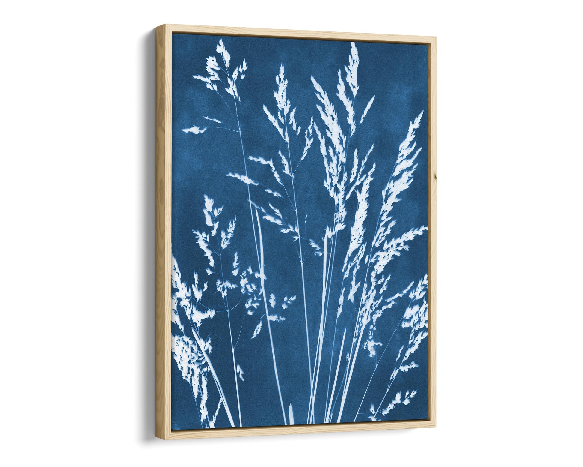 Framed canvas print of a cyanotype botanical design featuring white wild grasses against a deep blue background, encased in a slim natural wood floating frame.