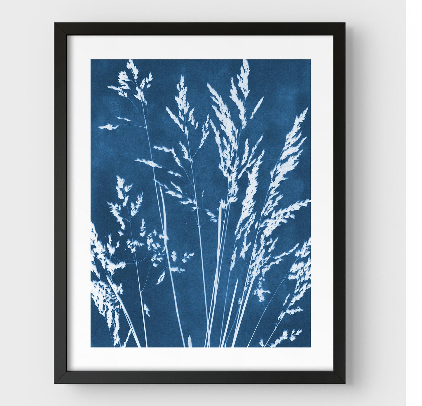Framed cyanotype print featuring delicate wild grasses in white against a deep blue background, enclosed in a black frame with a white border.