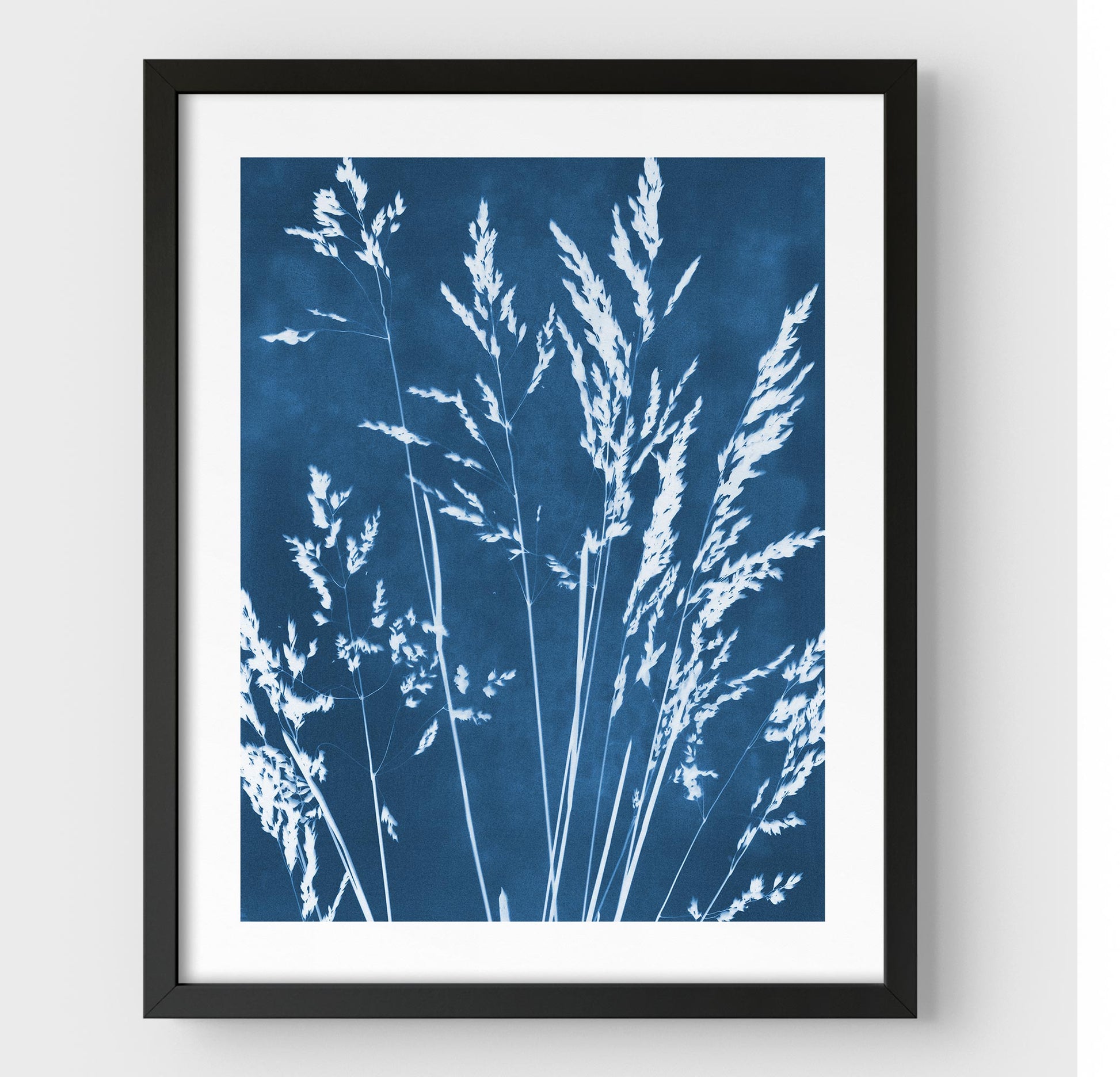 Framed cyanotype print featuring delicate wild grasses in white against a deep blue background, enclosed in a black frame with a white border.