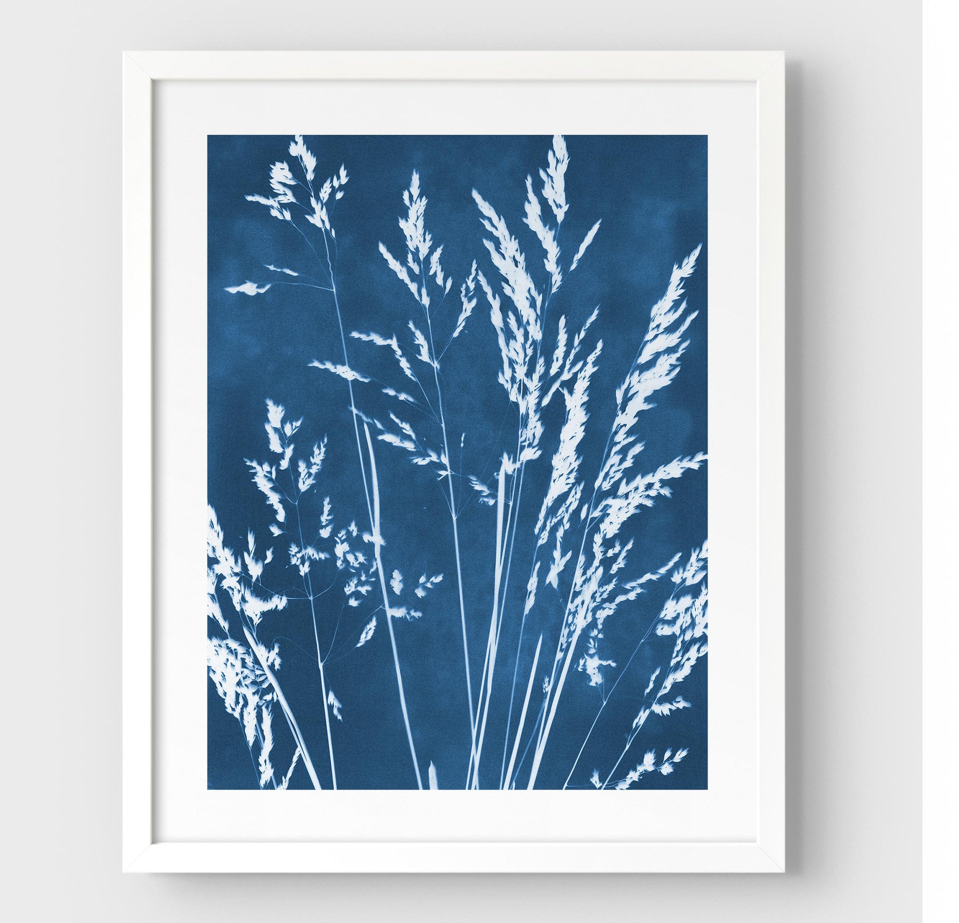 Framed cyanotype print featuring delicate wild grasses in white against a deep blue background, enclosed in a white frame with a white border.