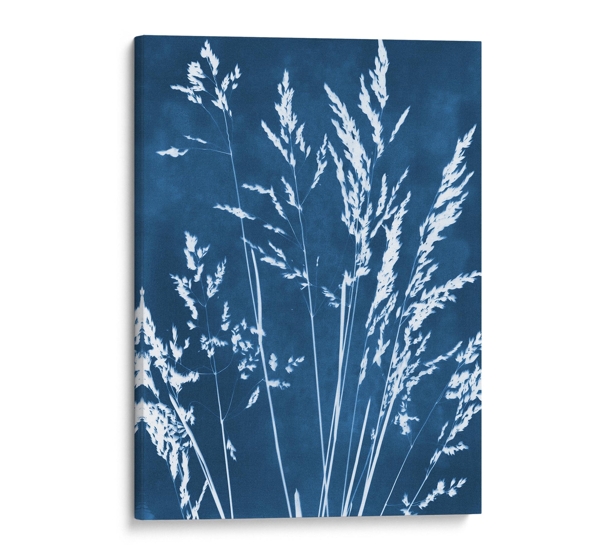 Canvas print featuring a cyanotype botanical design of wild grasses in white against a deep blue background, with edges wrapped around the sides for a seamless look.