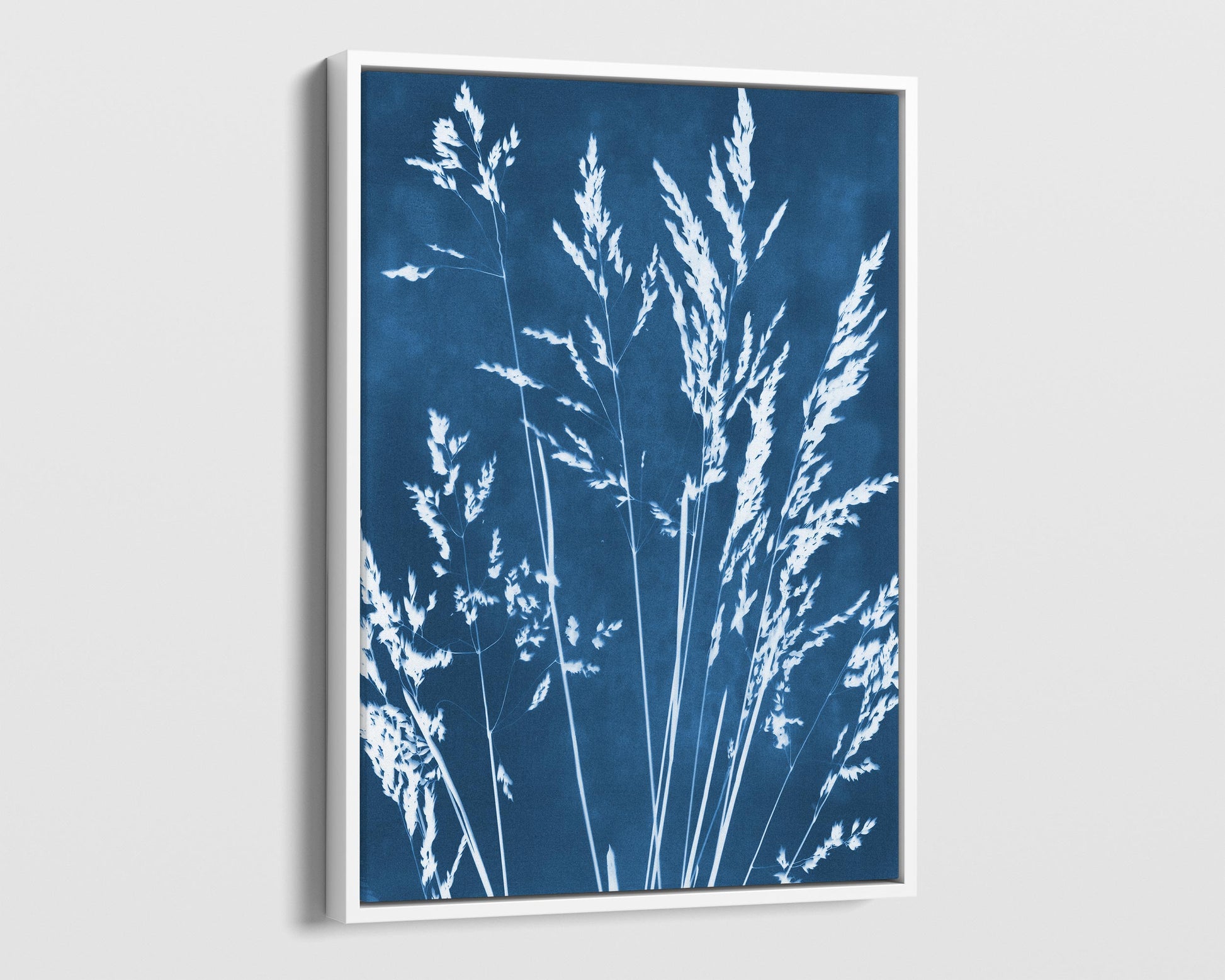 Framed canvas print of a cyanotype botanical design featuring white wild grasses against a deep blue background, encased in a slim white floating frame.