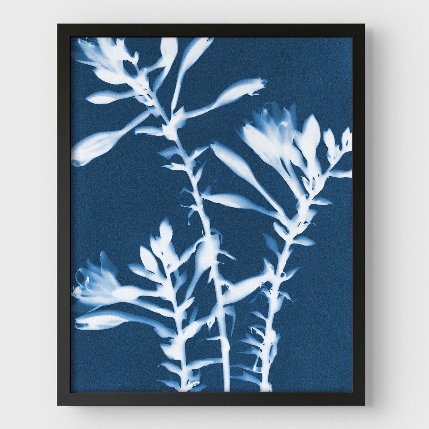 Hosta Cyanotype Print