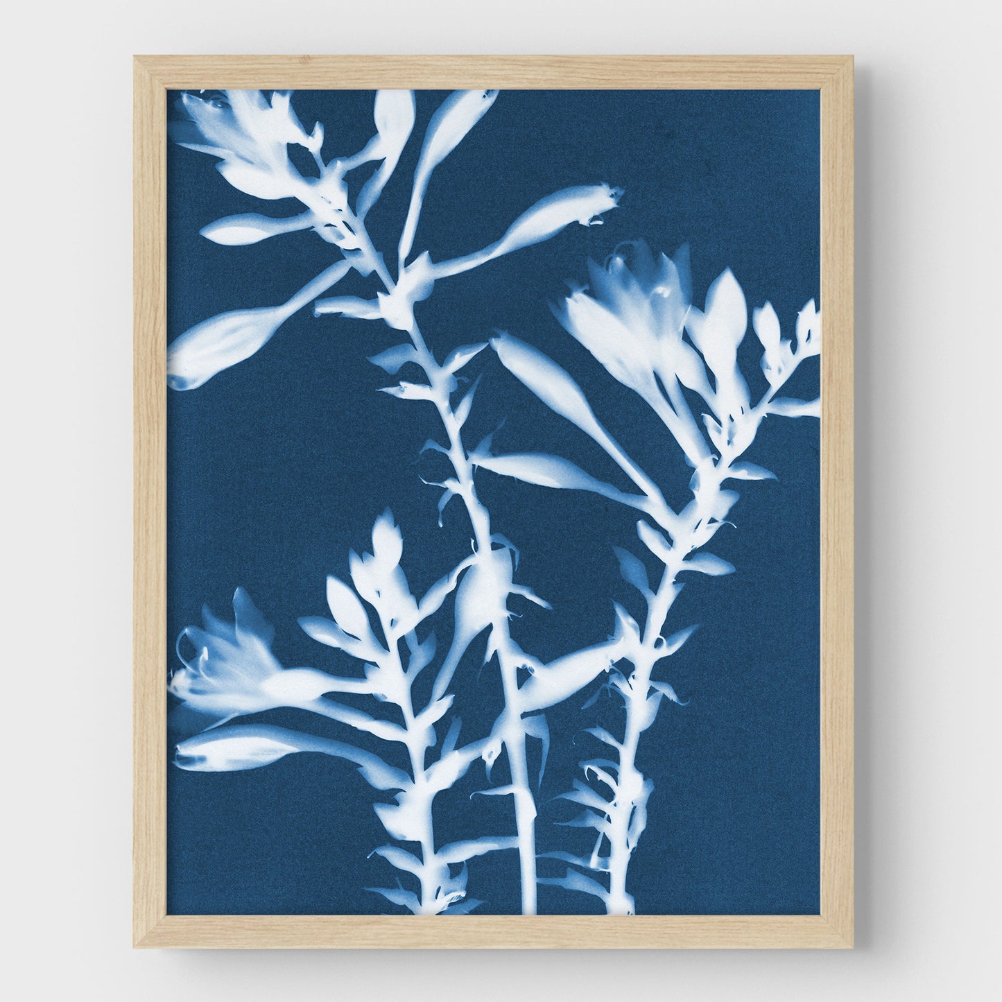 Hosta Cyanotype Print