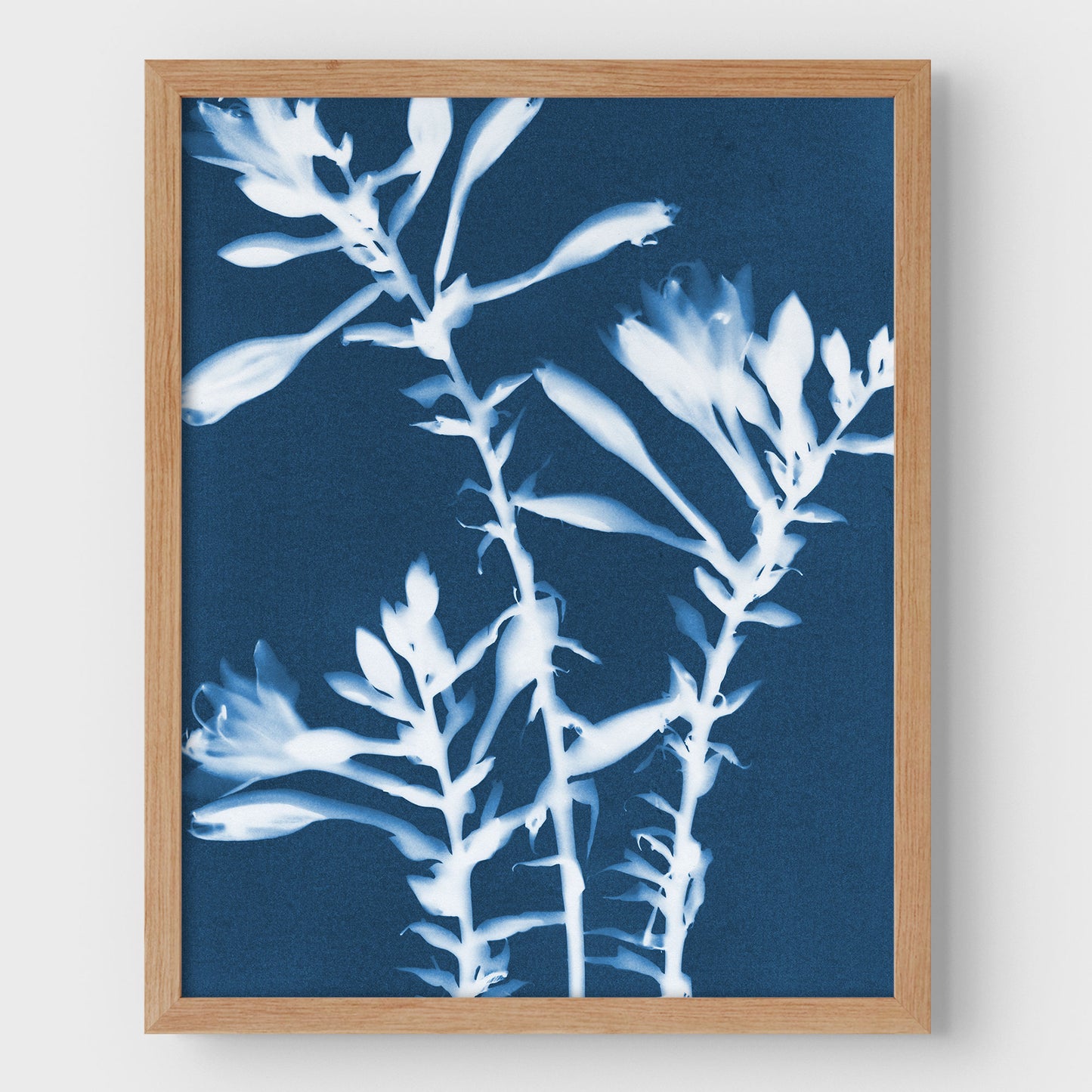 Hosta Cyanotype Print