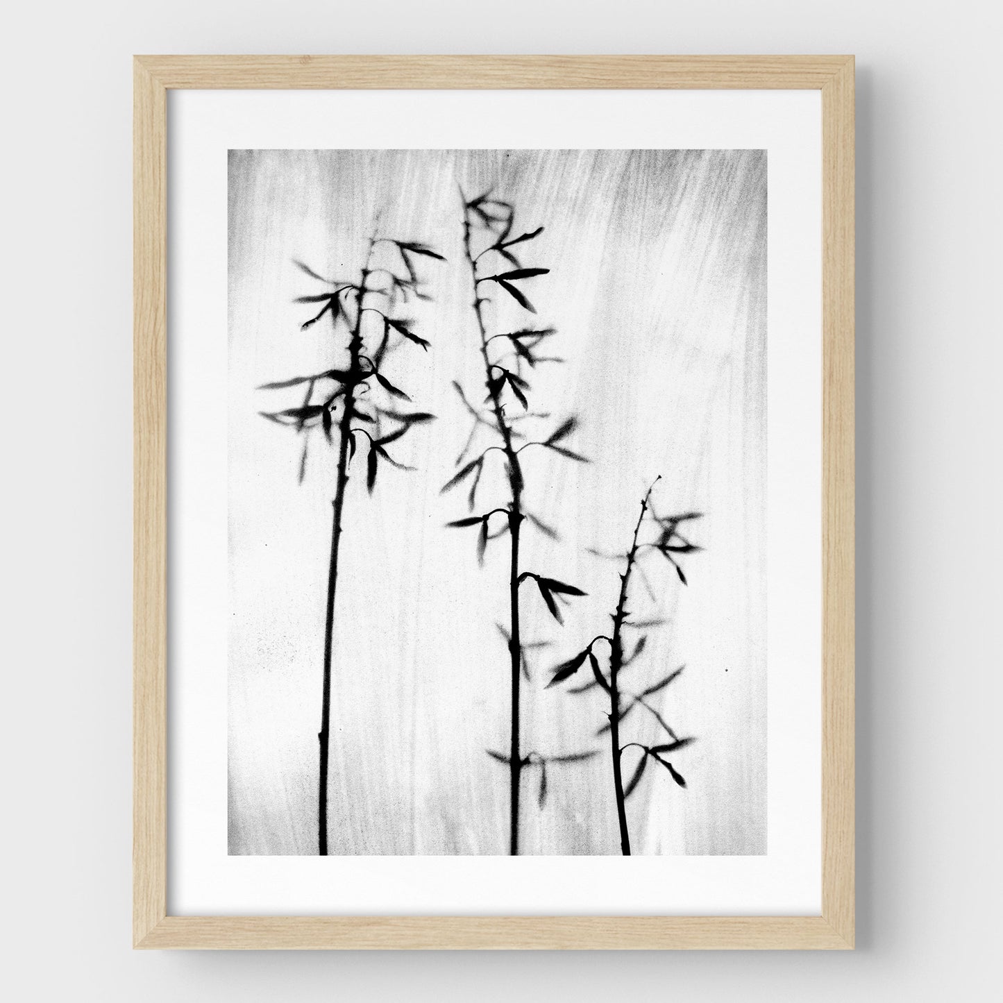 Black and White Bamboo Print