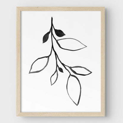 Minimalist Botanical Black and White Ink Illustration Print