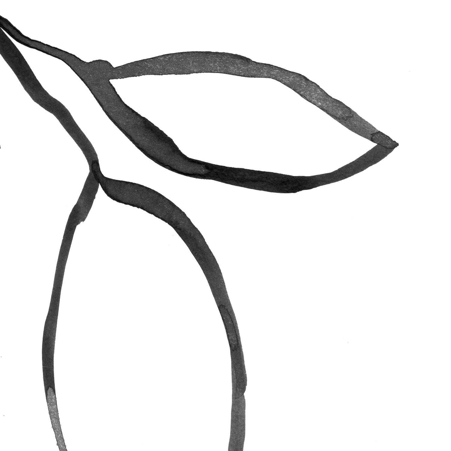 Minimalist Botanical Black and White Ink Illustration Print