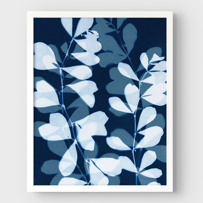 Layered Leaves Cyanotype Print