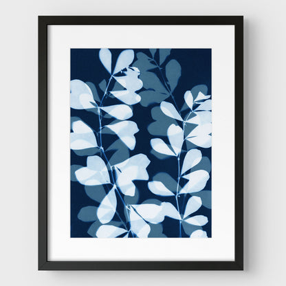 Layered Leaves Cyanotype Print