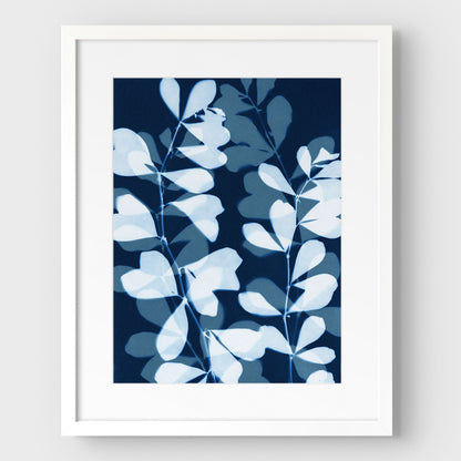 Layered Leaves Cyanotype Print