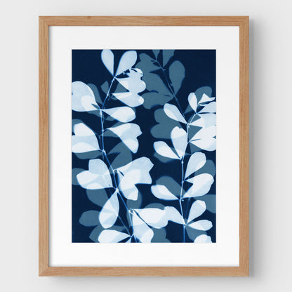 Layered Leaves Cyanotype Print