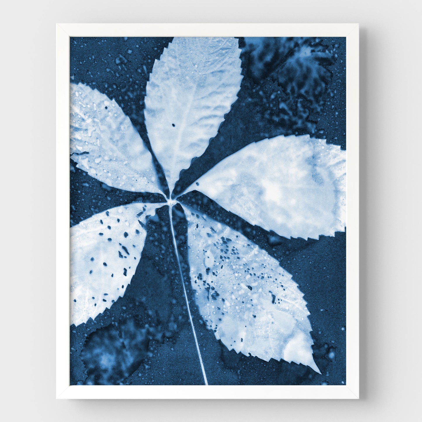 Leaf Spray Cyanotype Print