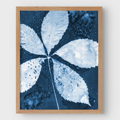 Leaf Spray Cyanotype Print