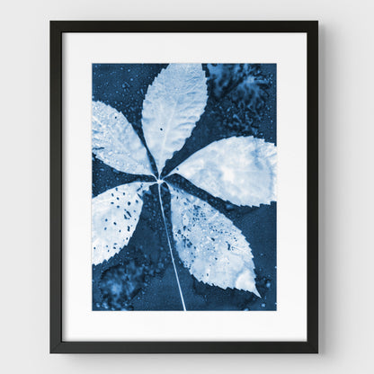 Leaf Spray Cyanotype Print