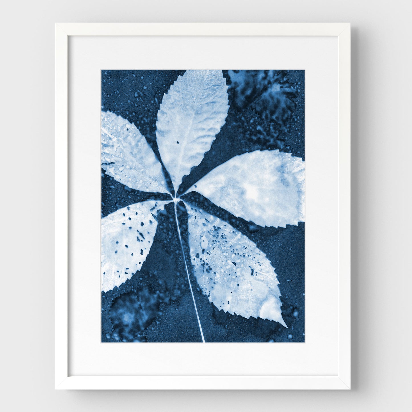Leaf Spray Cyanotype Print