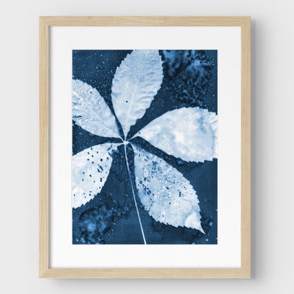 Leaf Spray Cyanotype Print
