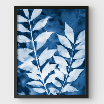 Leafy Branches Cyanotype Print
