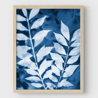 Leafy Branches Cyanotype Print