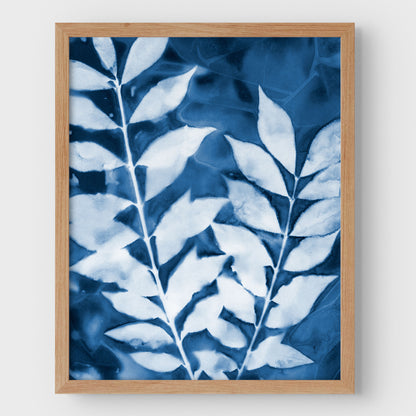 Leafy Branches Cyanotype Print