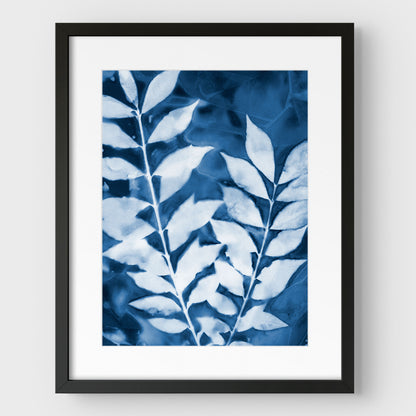 Leafy Branches Cyanotype Print