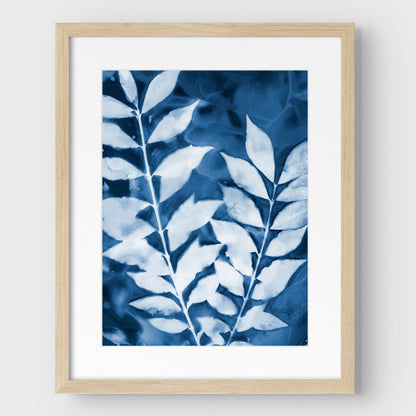 Leafy Branches Cyanotype Print
