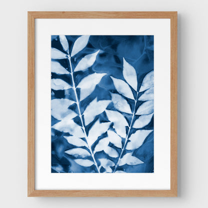 Leafy Branches Cyanotype Print