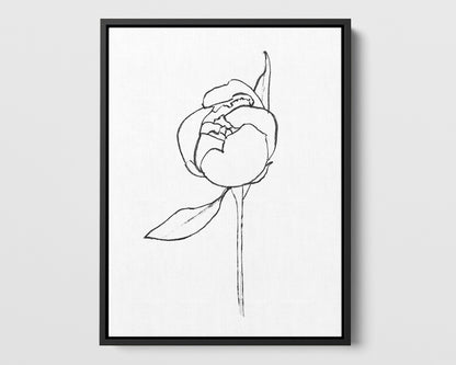 Blooming Peony Print