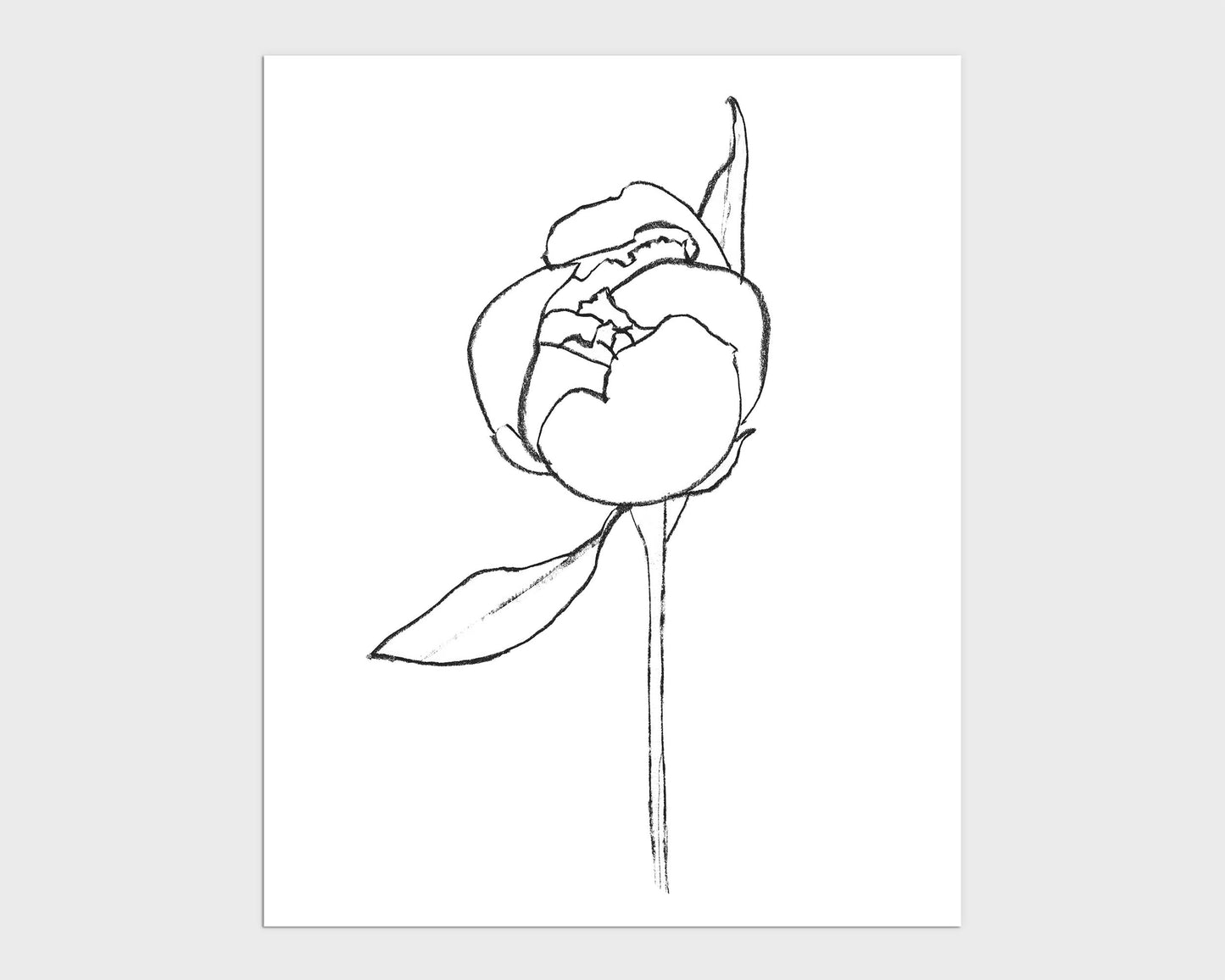Minimalist black and white line drawing of a blooming peony flower with a single stem and leaf, on a white background.