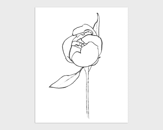 Minimalist black and white line drawing of a blooming peony flower with a single stem and leaf, on a white background.