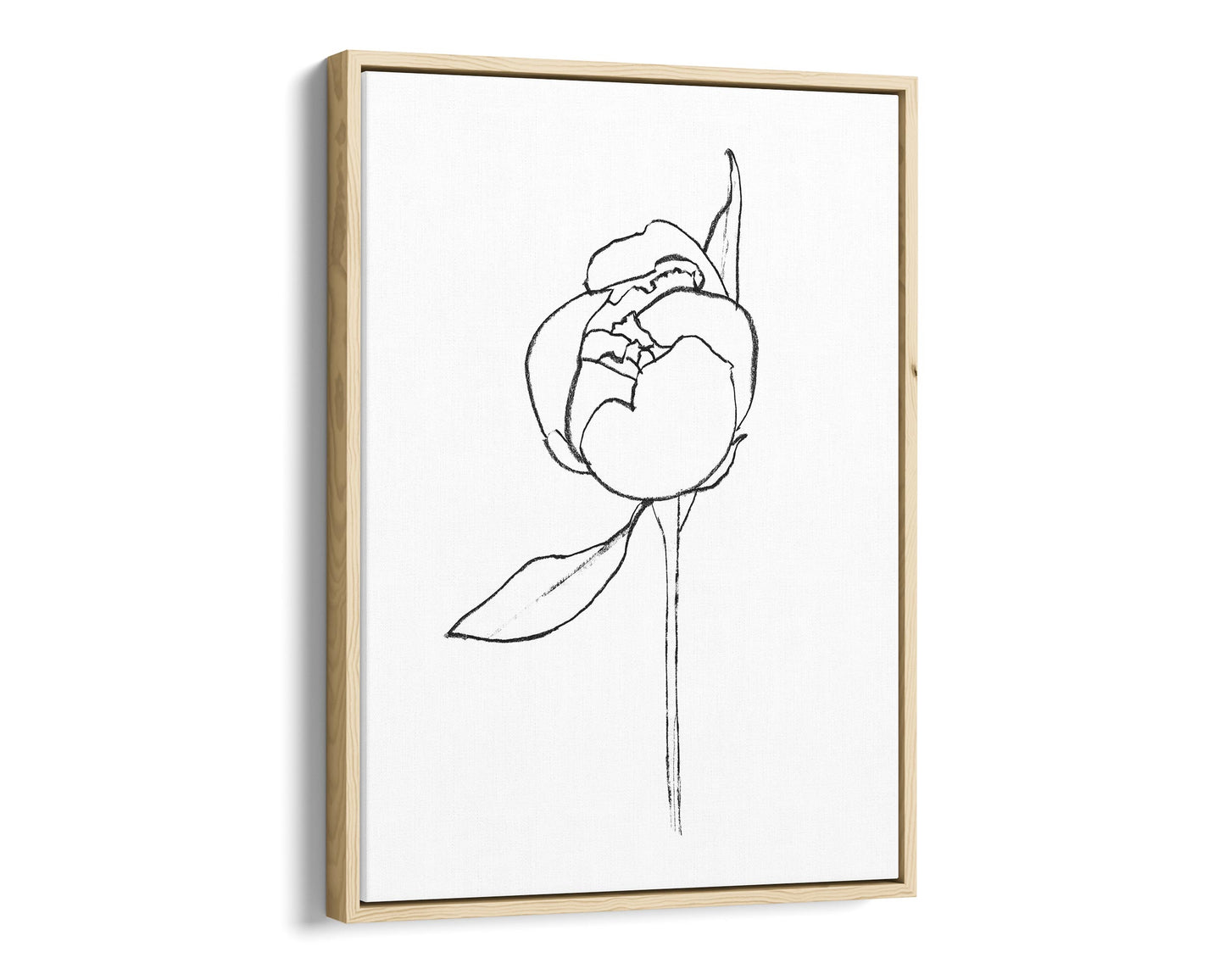 Natural wood framed canvas print of a minimalist line drawing depicting a peony bud with a single leaf, set against a white background.